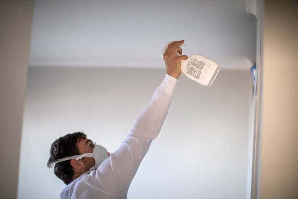 Best Home Mold Removal  in Ntgomery City, MO